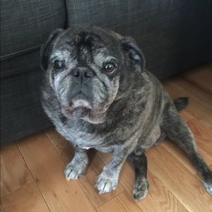 Meet your Posher, Olivia